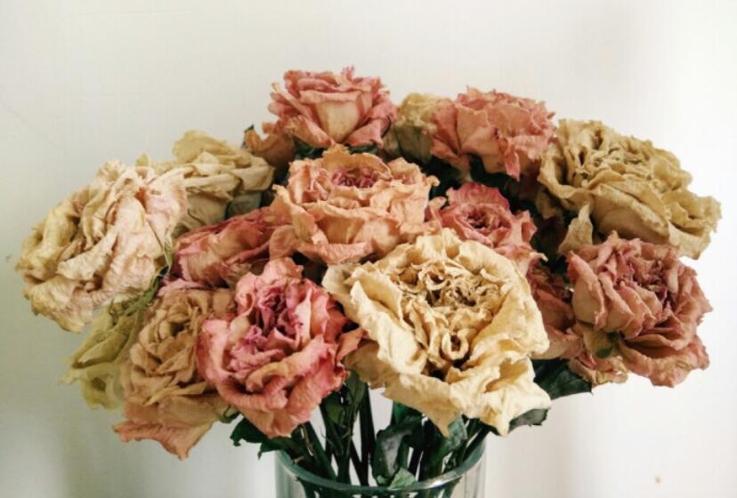 插干花有什么技巧？快來和南寧花藝培訓(xùn)班學(xué)習(xí)下