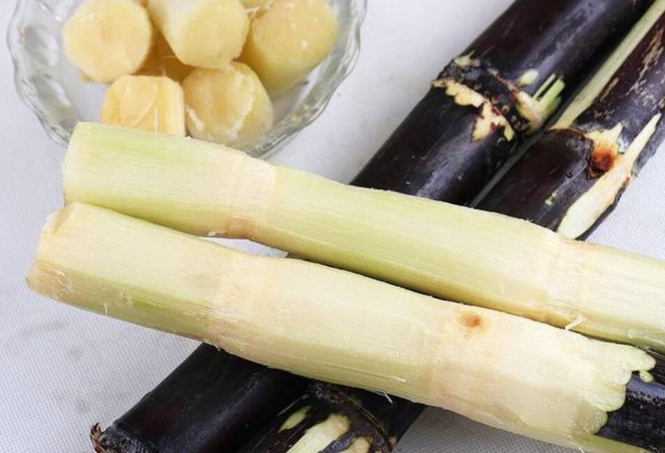 秋冬適合吃什么？南寧教美容養(yǎng)生的學校分享給你