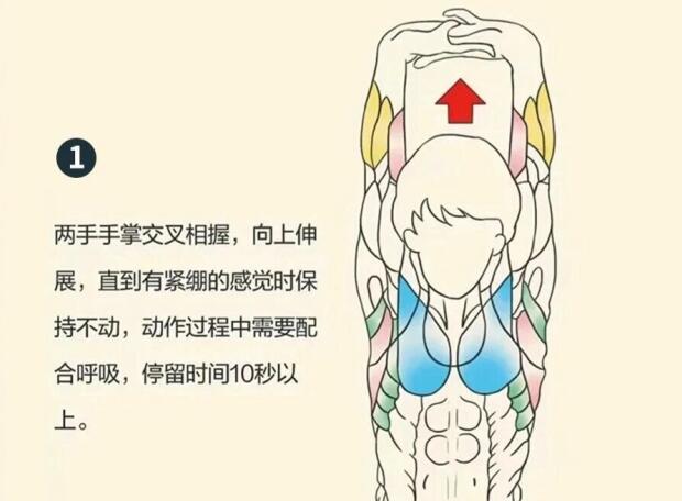 南寧美容師培訓(xùn)要學(xué)什么？背部護(hù)理就是其中一項(xiàng)