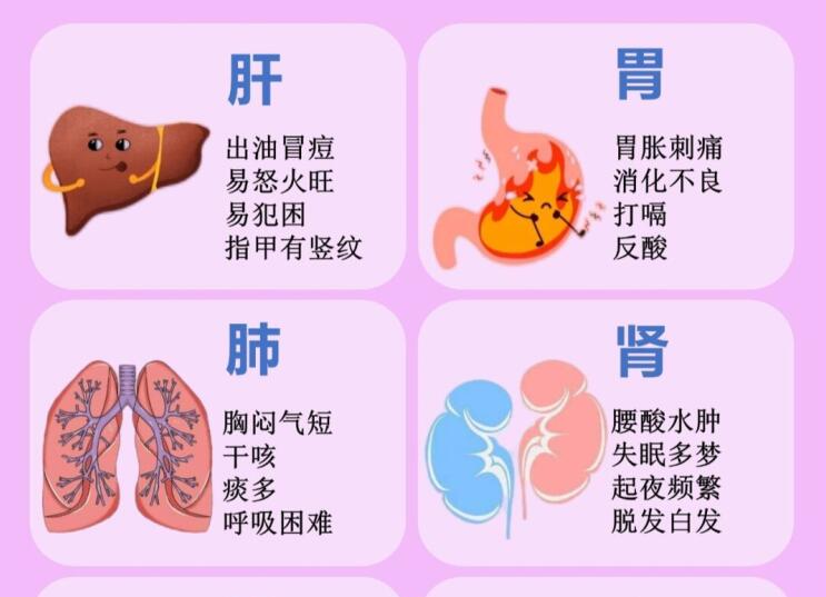 6大臟器保養(yǎng)指南，6款養(yǎng)生茶喝起來 ???