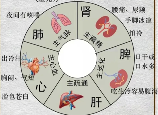 人體不同部位受寒的表現(xiàn)，廣西中醫(yī)美容培訓(xùn)分享