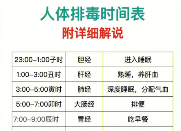 人體排毒時(shí)間表，南寧美容專業(yè)學(xué)校詳細(xì)解說(shuō)