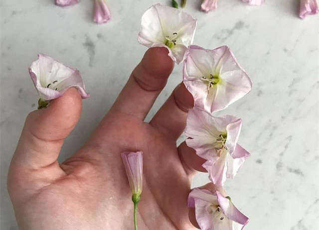 植物藝術(shù)美甲，南寧美甲造型設(shè)計(jì)培訓(xùn)分享