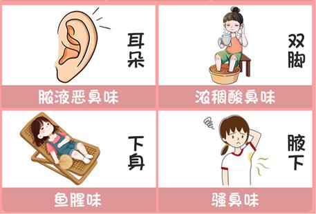 體味重的部位和緩解方法，廣西美容美體專業(yè)介紹