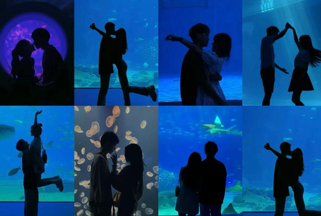 在海洋館怎么拍照？廣西人物形象設(shè)計(jì)專業(yè)支招
